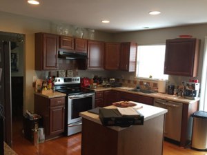 Columbia MD Kitchen Update